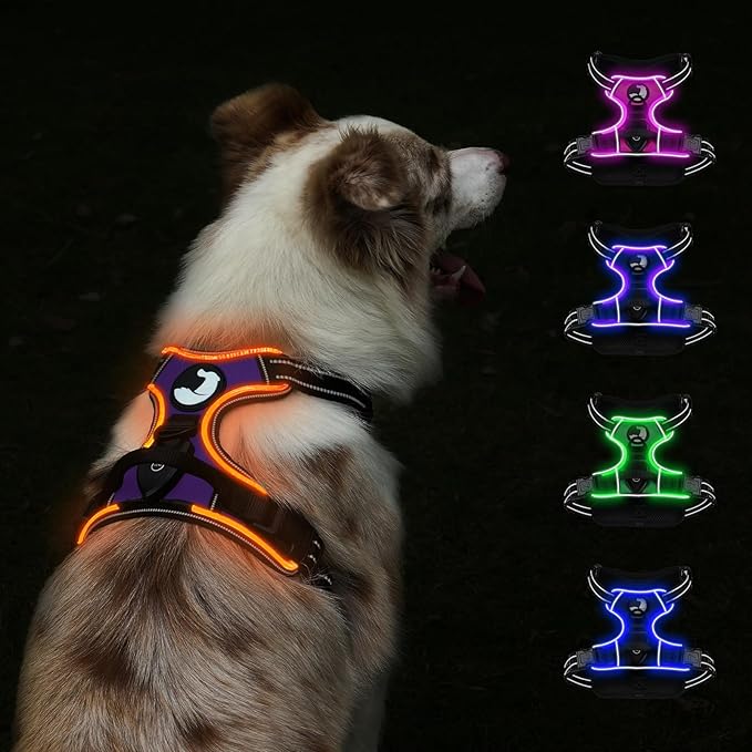 Taglory Light Up Dog Harness, Rechargeable No Pull Dog Vest with 3 Lightning Modes, Reflective Dog Harness with 2 Leash Clips & 4 Adjustable Slide Strips for Medium Dogs, Purple-Orange, M