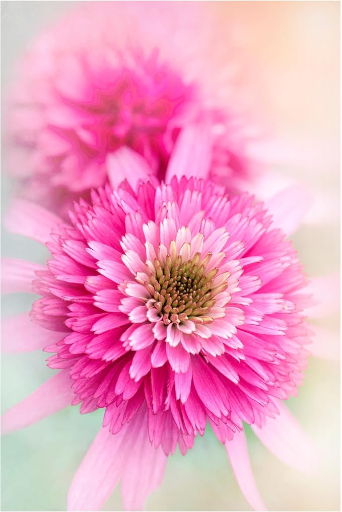 Trademark Fine Art Canvas Wall Art - Jacky Parker 'Summer Spirit' Wall Art for Living Room, Bedroom, or Office Décor 16 x 24 Inches