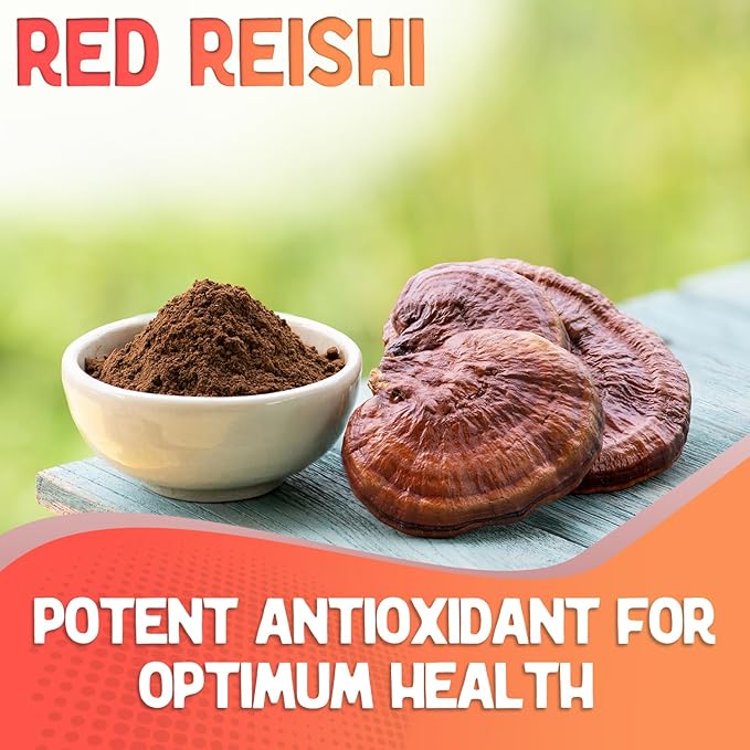 XPRS Nutra Fungi Fusion Organic Mushroom Powder Blend, Premium Blend of Lion's Mane, Reishi, Chaga, Cordyceps for Mental Clarity, Cognition, Energy and Immunity - 4 Ounce