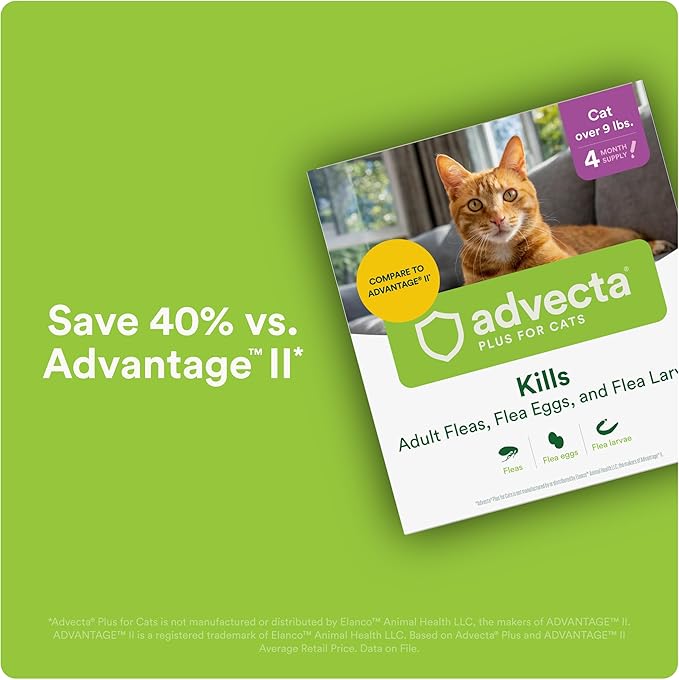 Plus Flea Prevention for Cats, Cat and Kitten Treatment & Control, Small and Large, Fast Acting Waterproof Topical Drops, 6 Month Supply