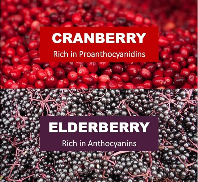 Immunia Urinary Health. Cranberry & Elderberry Concentrate for The Prevention of Urinary Infections. Natural. Delicious. 5 ml/Day. (3-Pack)