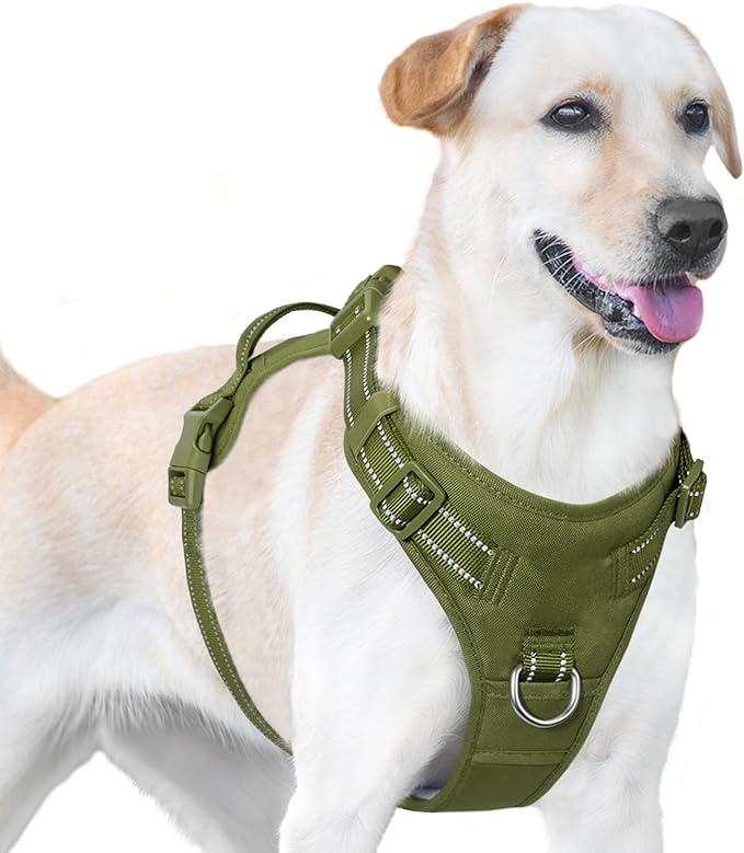 No Pull Dog Harness, Reflective Puppy Vest for Small Medium Large Sized Dog (Misty Green,M)