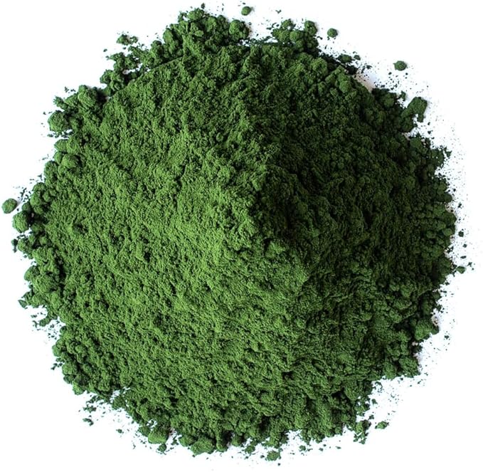Food to Live Organic Chlorella Powder, 1 Pound — Non-GMO, Kosher, Raw Green Algae, Vegan Superfood, Bulk, Pure Vegan Green Protein, Rich in Vitamins and Minerals, Great for Drinks, Broken Cell Wall