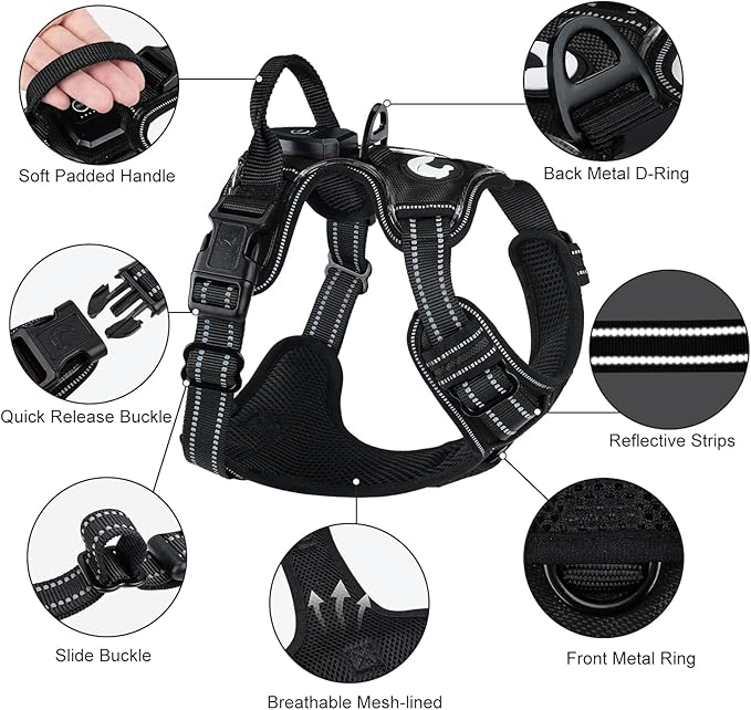Taglory Light Up Dog Harness, Rechargeable No Pull Dog Vest with 3 Lightning Modes, Reflective Dog Harness with 2 Leash Clips & 4 Adjustable Slide Strips for Medium Dogs, Black-Purple, M