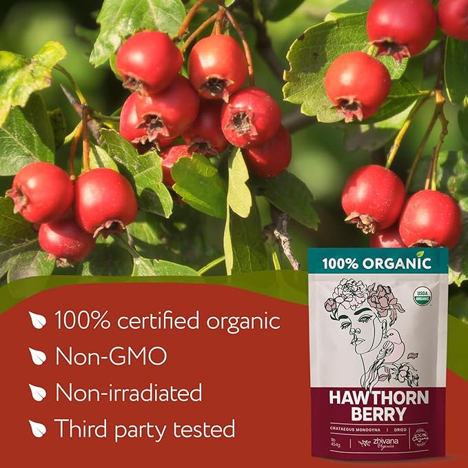 Extra Large 2lb Bag - Hawthorn Berry Tea Organic - Dried Hawthorn Berries Whole - Hawthorne Tea - Healthy Blood Pressure, Heart Health, Immune Support