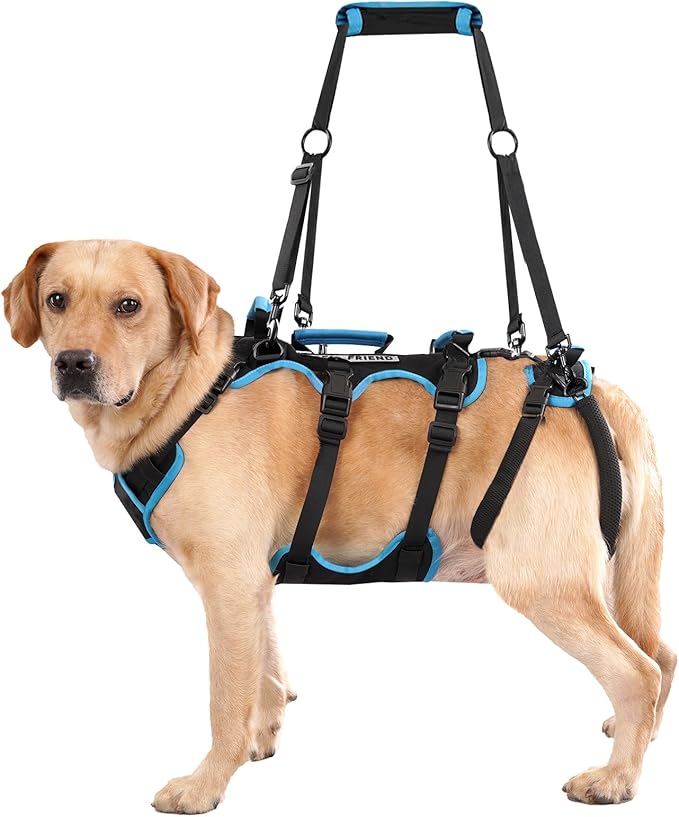 Dog Lift Harness for Large Male Dogs, 2-in-1 Detachable Support Harness, Full Body Carrying with 4 Handles, Dog Sling for Large Dogs Hind Leg Support(Black, X-Large)