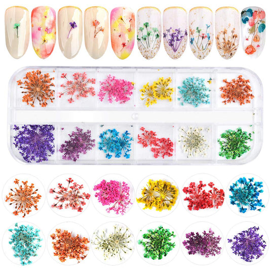 Ebanku 12 Colors 3D Dried Flowers Nail Art Decals, Colorful Dried Gypsophila Flowers Nail Art Stickers Decoration, 3D Nail Decor