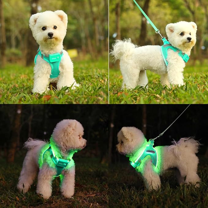 Light Up Dog Harness,Rechargeable LED Dog Harness for Small Medium Large Dogs,Reflective Lighted Safety Vest for Night Walking & Camping,Lightweight & Adjustable,Light Green,M