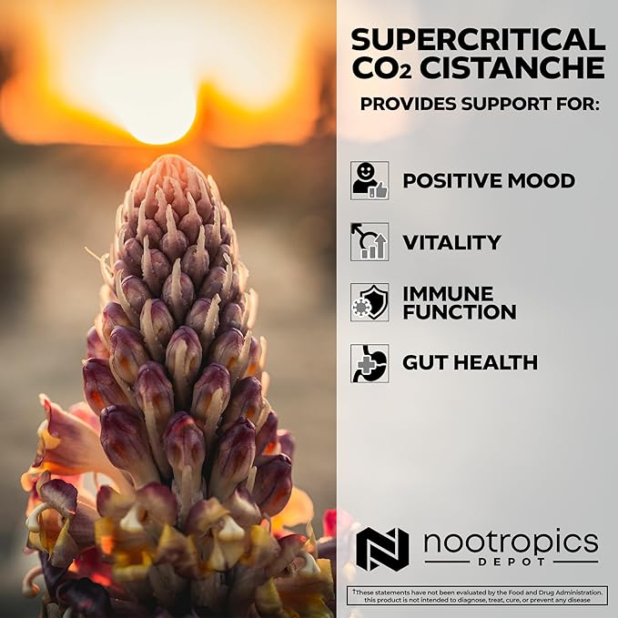 Nootropics Depot Cistanche Supercritical CO2 Extract Capsules | 20% Echinacoside + 20% Verbascoside (Acetoside) | 60 Count
