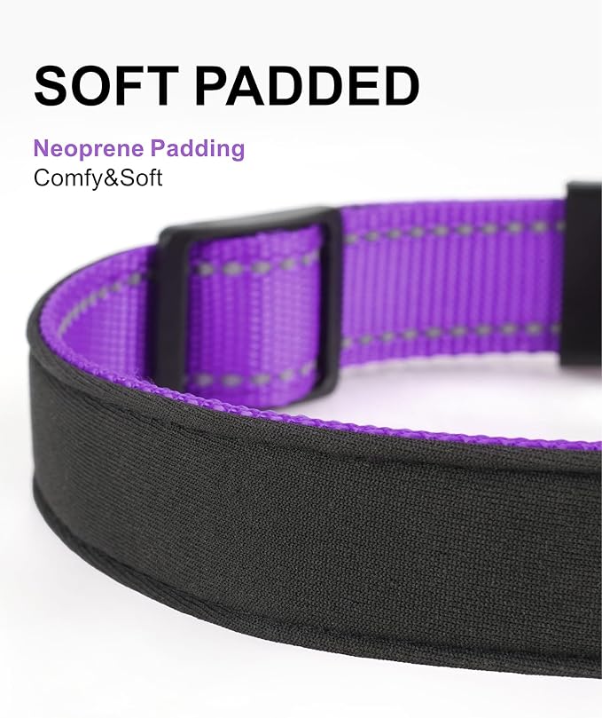 TagME Airtag Dog Collar,Waterproof Reflective Pet Collar with Airtag Holder,Soft Padded and Double D-Rings for Medium Dogs,Purple