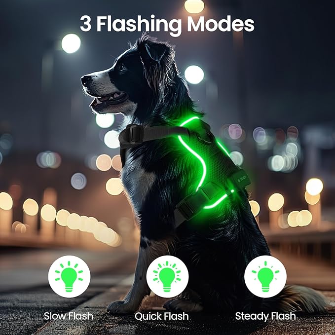Light Up Dog Harness,Reflective Pet Harness Rechargeable,Led Dog Vest Harness for Night Walking,Adjustable Dog Safety Vest for Small Medium Large Dogs-No Pull,Black,XL