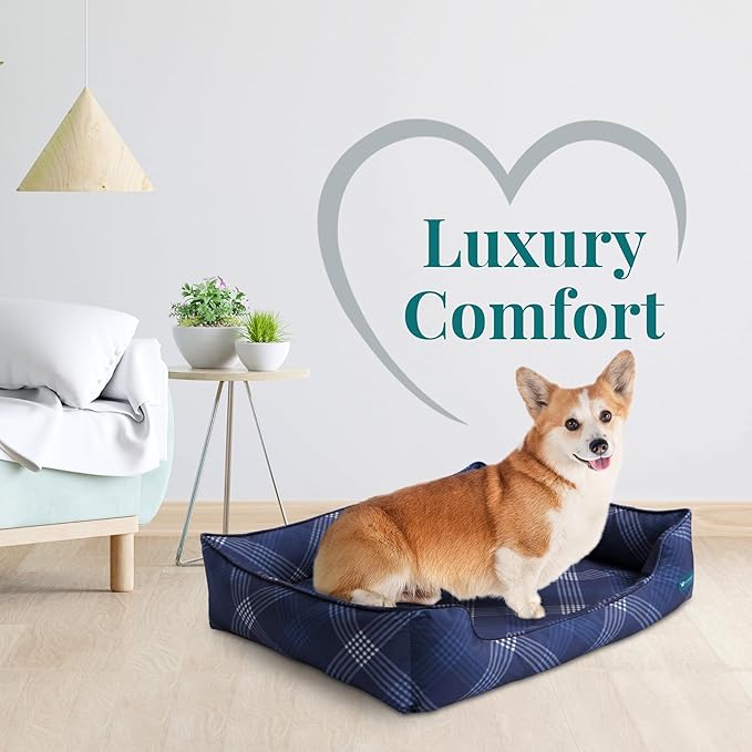 Orthopedic Bolster Dog Bed – CertiPUR-US Foam, Recycled Polyester Canvas, Washable Cover, Anti-Slip Bottom, Medium, Navy Plaid – Stylish Designer Dog Sofa