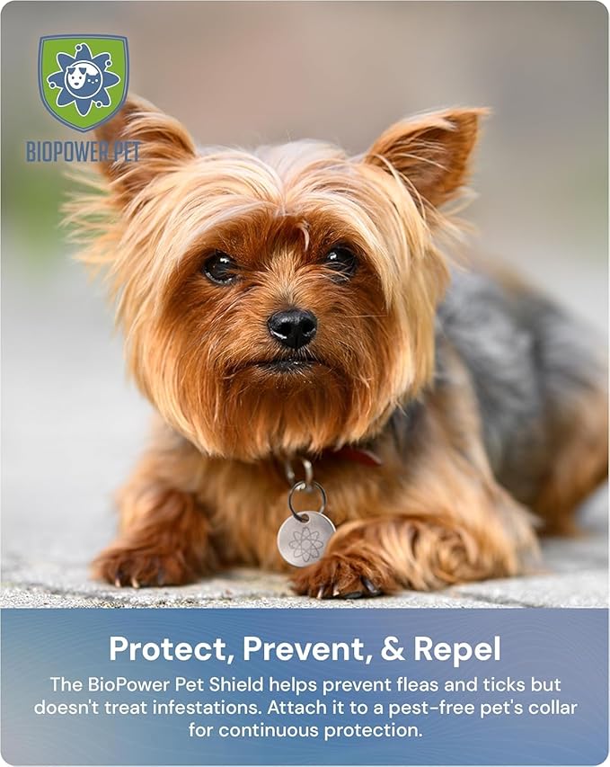 Natural Flea & Tick Repellent Collar Tag for Dogs & Cats – BioPower Pet Shield – Safe for Pets When Used as Directed – Lasts 1 Full Year - Regular Tag (2 Pack)