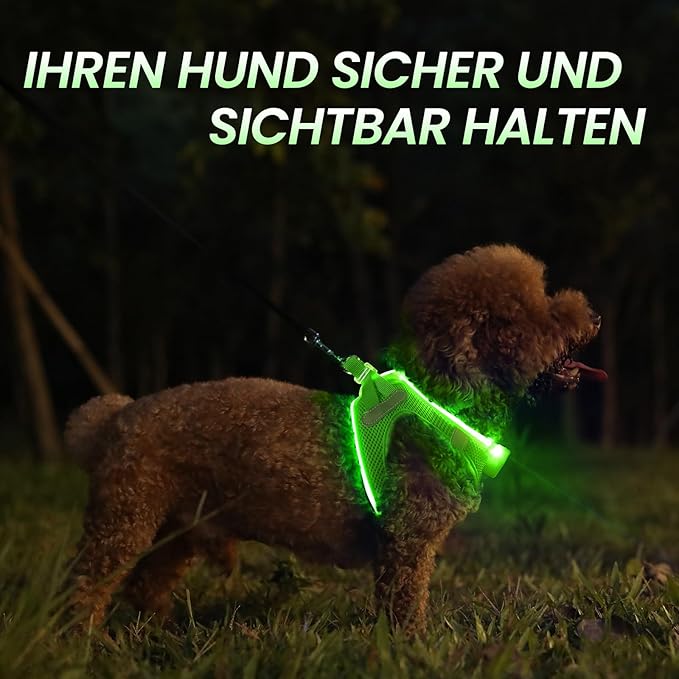 PCeoTllar Light Up Dog Harness - LED, No Pull Reflective, Flashing Night Walking (Green XS)