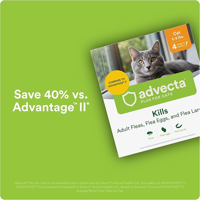 Plus Flea Prevention for Cats, Cat and Kitten Treatment & Control, Small and Large, Fast Acting Waterproof Topical Drops, 2 Month Supply