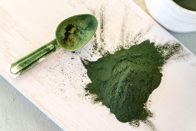 Food to Live Organic Chlorella Powder, 1 Pound — Non-GMO, Kosher, Raw Green Algae, Vegan Superfood, Bulk, Pure Vegan Green Protein, Rich in Vitamins and Minerals, Great for Drinks, Broken Cell Wall