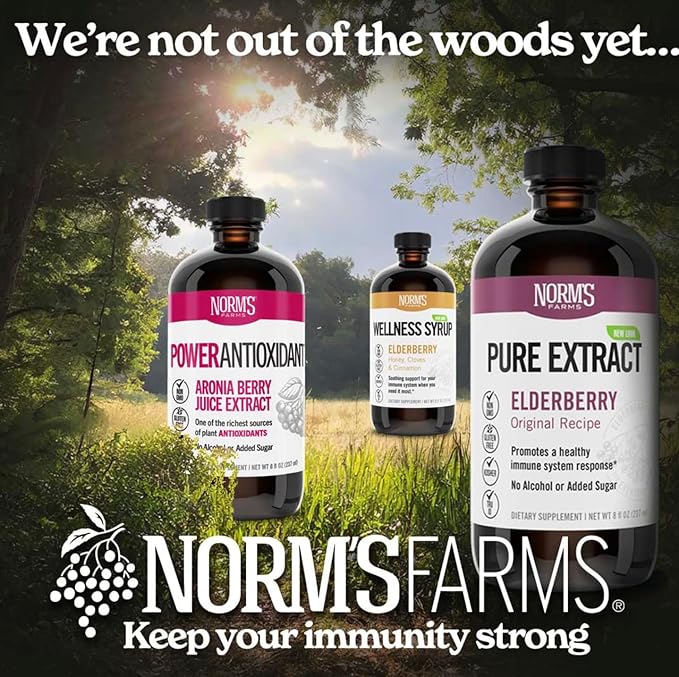 Norm's Farms Black Elderberry Wellness Syrup + Honey, Cinnamon, & Cloves - Natural Immune Support - Kosher, Gluten Free, Non-GMO - 2PK 8 Oz. Bottles