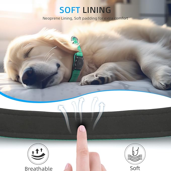Upgraded AirTag Dog Collar, IP68 Waterproof Air Tag Dog Collar Holder, Reflective, Ultra-Durable, Comfortable Padded, Heavy Duty Dog Collars for Small Medium Large Dogs (S (10.6"-13.6"), Teal)