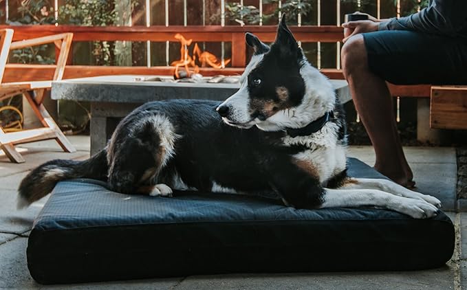 K9 Ballistics Tough Ripstop Orthopedic Rectangle Dog Bed Removable Washable Cover, Solid Orthopedic Foam for Large Dogs 40"x34", Obsidian Black