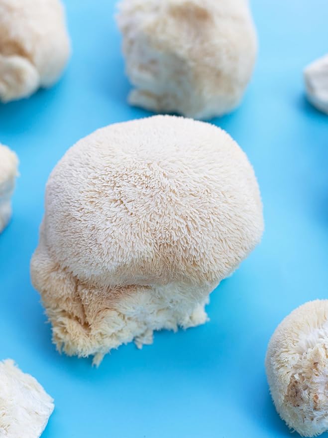 Freeze-Dried Lion's Mane Mushroom fruiting bodies Slices. Real Deal Large 25 Gram Jar. Great for tea or powder. Can be rehydrated and cooked or used as a herbal supplement. USDA organic. Excellent for Stamets Stack. No Refrigeration Required