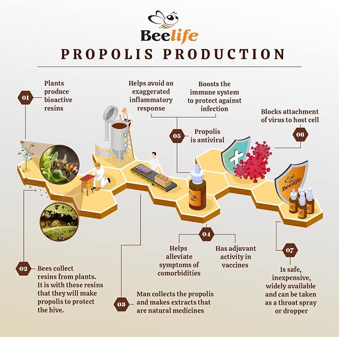 Beelife Organic Brazilian Green Propolis Extract - High Artepillin-C Levels, Antioxidant-Rich Supplement for Overall Wellness - Natural & Kosher- Organic Green Propolis Tincture, 1 Fl. Oz.