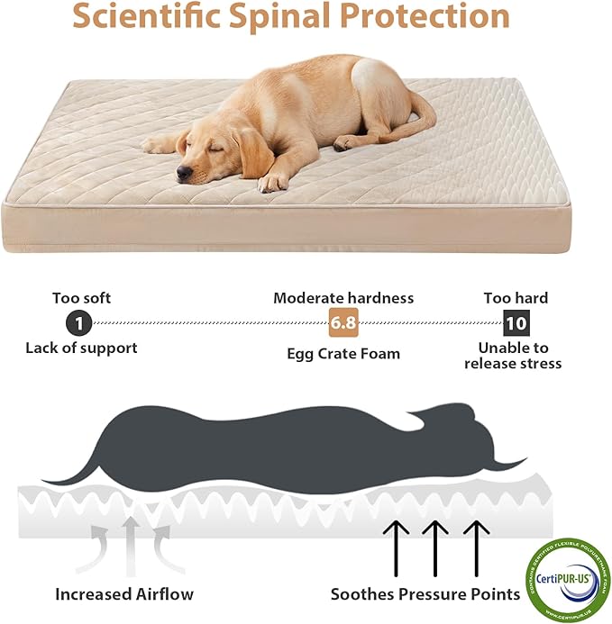 WNPETHOME Orthopedic Giant Dog Beds Large Sized Dog, Waterproof Extra Large Dogs Bed with Removable Washable Cover, Multi-Needle Quilting Dogs Crate Bed
