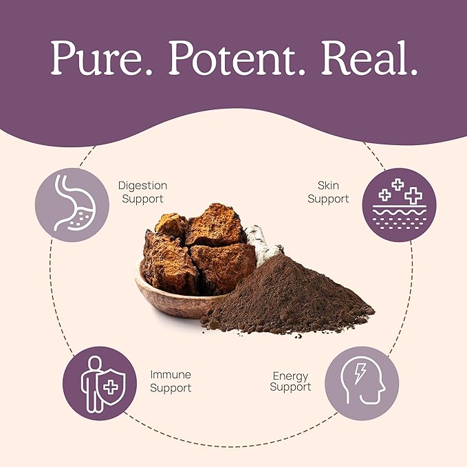 Real Mushrooms Chaga Powder - Organic Mushroom Supplement with Extract for Digestion, Energy, Immune Support Vegan Extract, Non-GMO, 150 Servings