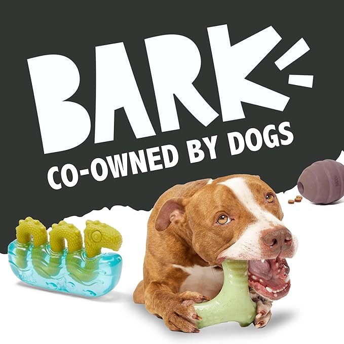 Barkbox Hatch Me If You Can Dog Toy for Medium to Large Aggressive Chewers Two-Layer Tearable Toy with Hidden Surprise Inside for Interactive Playtime