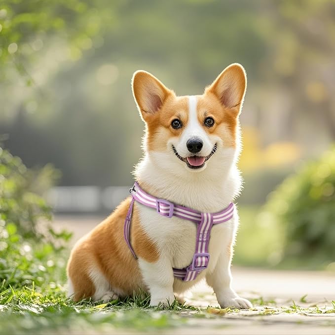 Stripe Step in Dog Harness for Small Dogs, Freedom Nylon Dog Halter Vests, Lightweight and Escape Proof Puppy Harness, Quick Fits for Small Medium and Large Dogs, Purple M