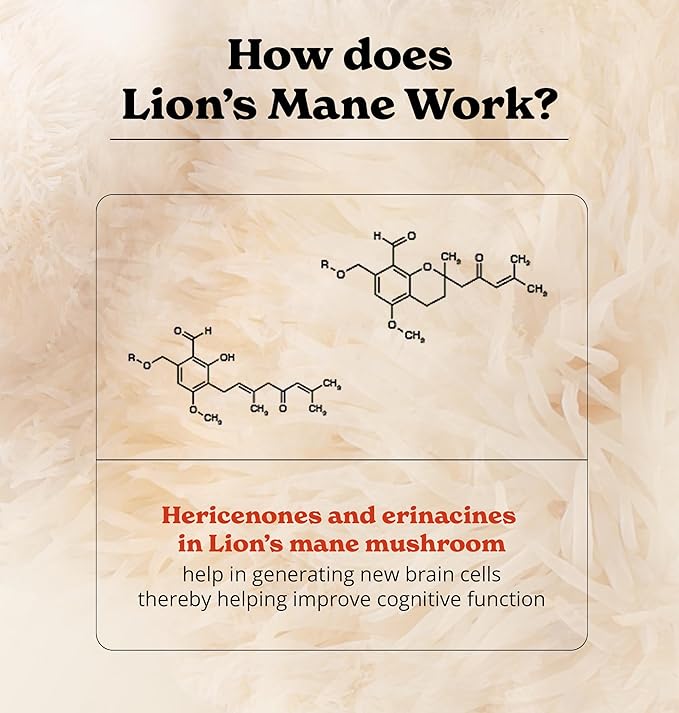 Lions Mane Mushroom Capsules | Nootropic Brain Booster | 15:1 Extract for Overall Health and Fitness | 30% Polysaccharides | Pack of 2
