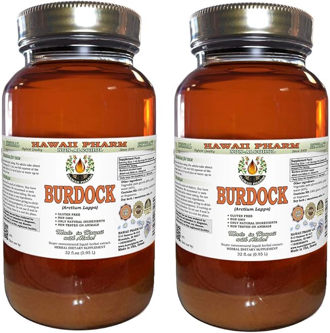 Burdock Alcohol-Free Liquid Extract, Organic Burdock (Arctium Lappa) Dried Root Glycerite Hawaii Pharm Natural Herbal Supplement 2x32 oz Unfiltered