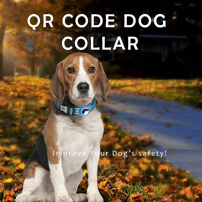 Reflective Dog Collar with Apple AirTag Holder & QR Code Pet ID Tag,Soft Nylon Adjustable Dog Tracker Collar with Safety Lock for Large Dogs(Blue, L（16"-26"）)