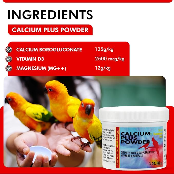 Morning Bird Calcium Plus Powder for Birds 3 oz – Calcium Carbonate Powder with Magnesium Glycinate & Vitamin D – Bone Strength & Immune Support Supplement – Calcium Formula for All Bird Sizes