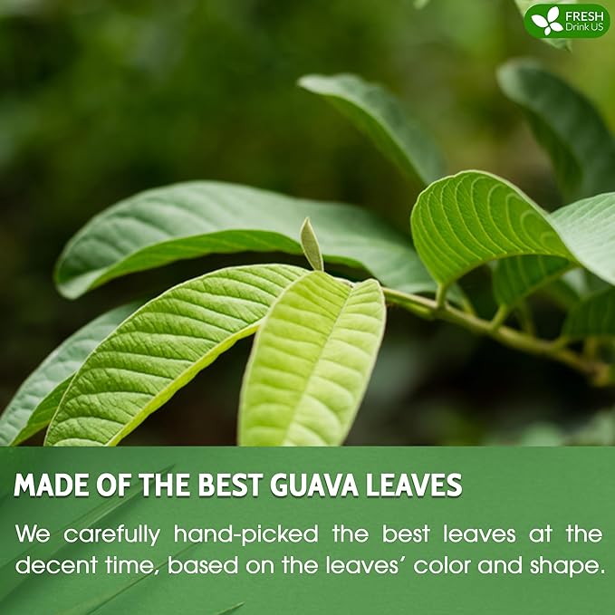 FreshDrinkUS Herbal Tea, Soursop Leaves, Bay Leaves, Guava Leaves, Banaba Leaves, Mango Leaves, Organic, Non GMO, Sugar Free, Gluten Free (1.1oz Guava Powder)