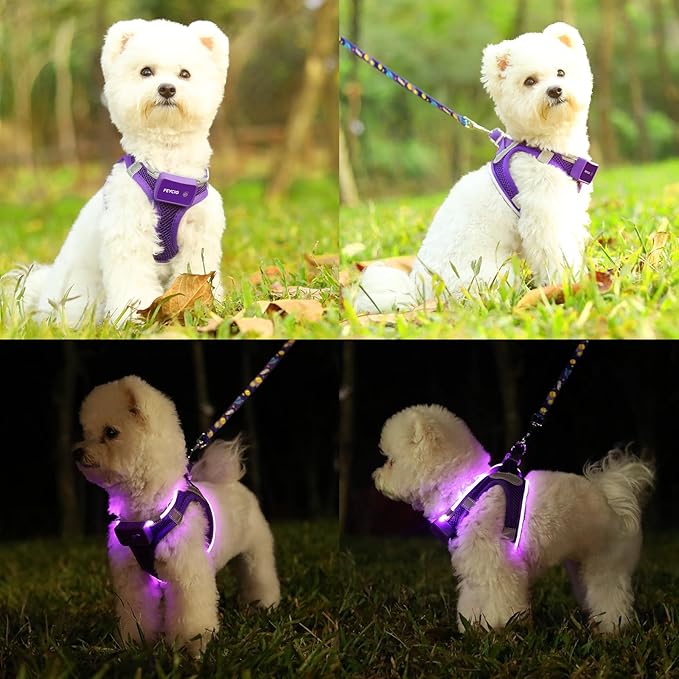 Light Up Dog Harness,Rechargeable LED Dog Harness for Small Medium Large Dogs,Reflective Lighted Safety Vest for Night Walking & Camping,Lightweight & Adjustable,Purple,L