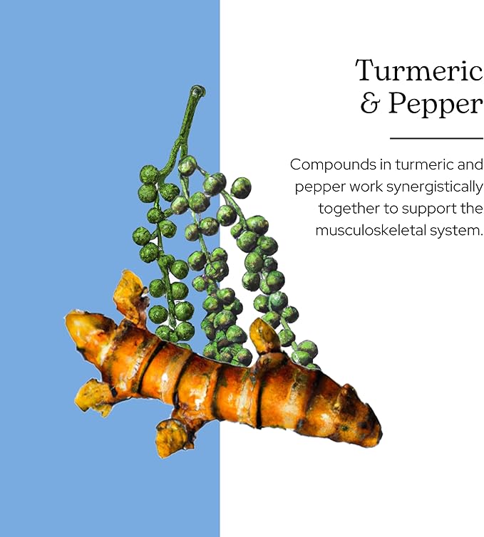 Eclectic Institute Raw Fresh Freeze-Dried Non-GMO Turmeric and Pepper | 90 CT (430 mg)