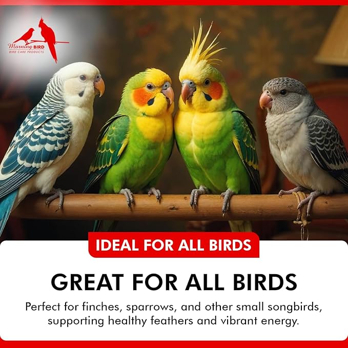 Morning Bird Calcium Plus Powder for Birds 3 oz – Calcium Carbonate Powder with Magnesium Glycinate & Vitamin D – Bone Strength & Immune Support Supplement – Calcium Formula for All Bird Sizes