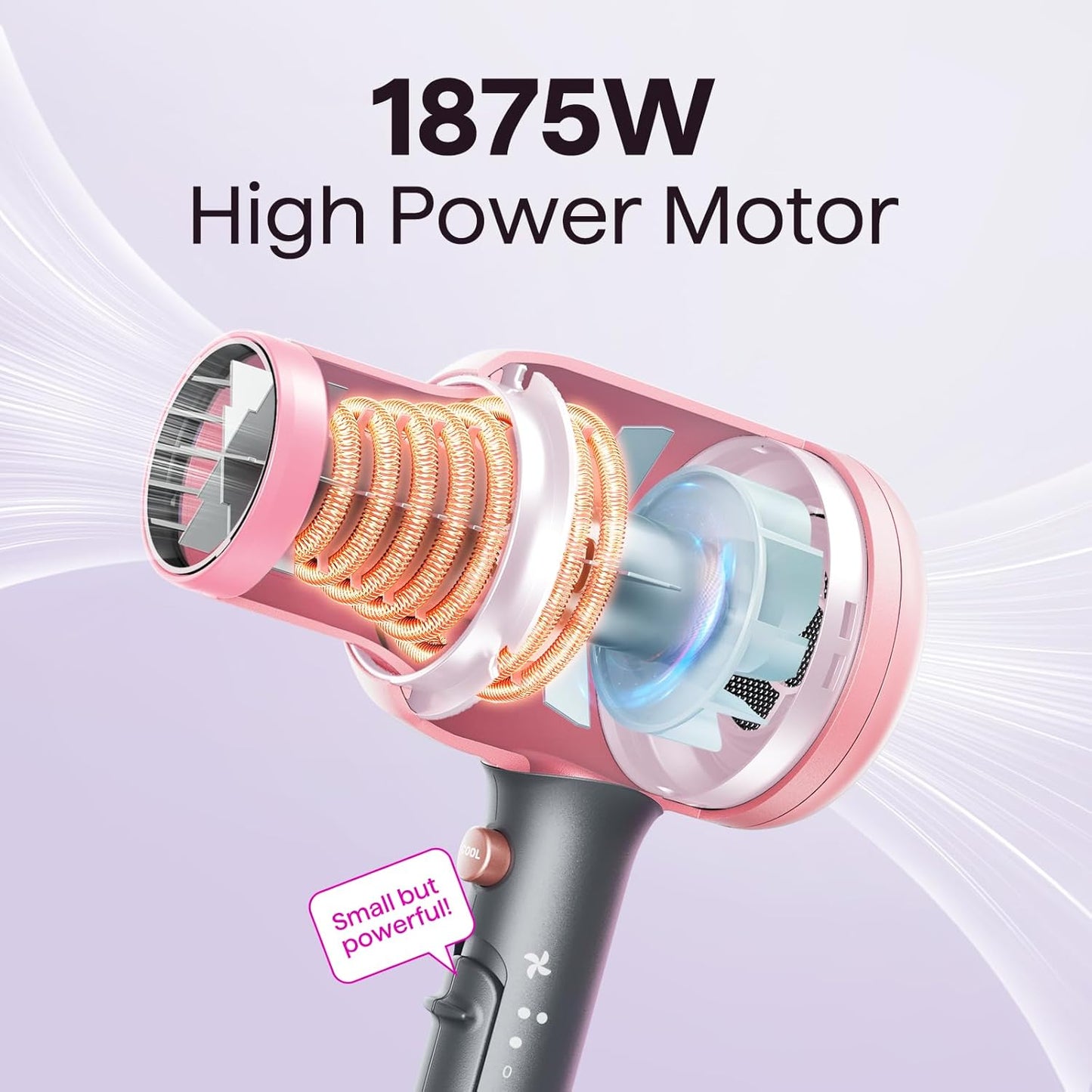 Wavytalk 1875W Ionic Hair Dryer | Diffuser & Comb for Curly Hair | Black
