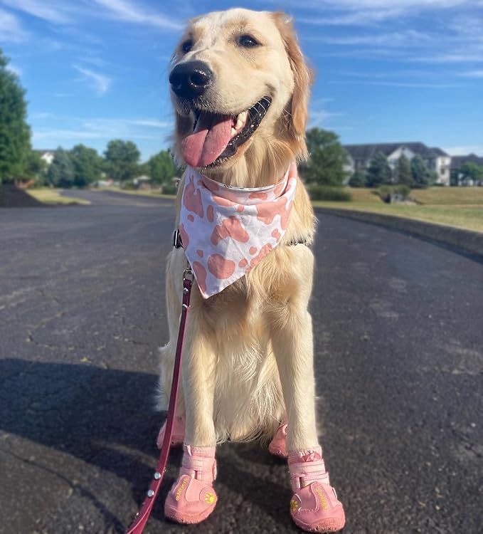 QUMY Dog Shoes for Large Dogs, Medium Dog Boots & Paw Protectors for Winter Snowy Day, Summer Hot Pavement, Waterproof in Rainy Weather, Outdoor Walking, Indoor Hardfloors Anti Slip Sole Pink 2