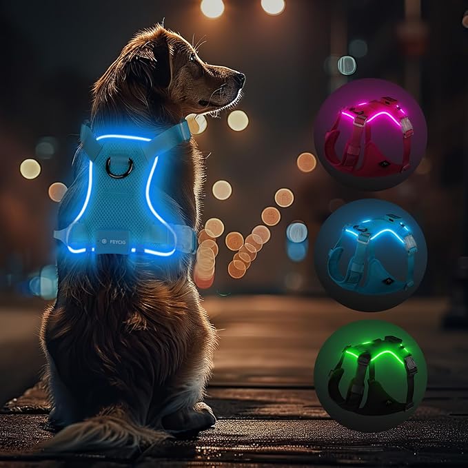 Light Up Dog Harness,Reflective Pet Harness Rechargeable,Led Dog Vest Harness for Night Walking,Adjustable Dog Safety Vest for Small Medium Large Dogs-No Pull,Blue,L