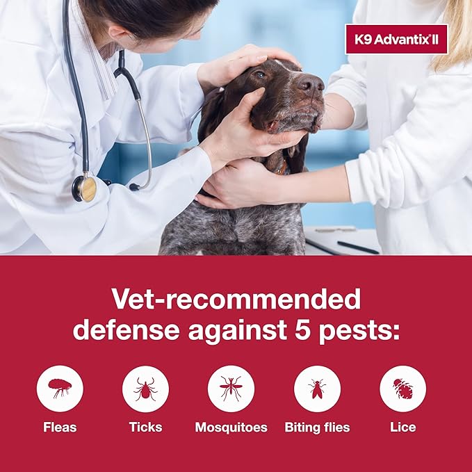 K9 Advantix II XL Dog Vet-Recommended Flea, Tick & Mosquito Treatment & Prevention | Dogs Over 55 lbs. | 1-Mo Supply