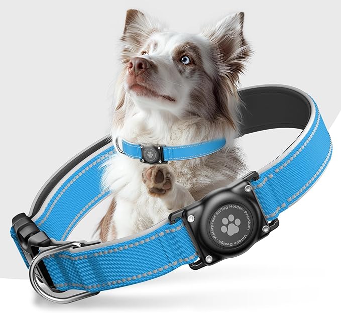 Airtag Dog Collar - 100% Waterproof Air tag Dog Collar Holder for Apple AirTag, Reflective, Soft Padded, Everlasting, GPS Dog Collar for Small Medium Large Dogs (Blue, M)