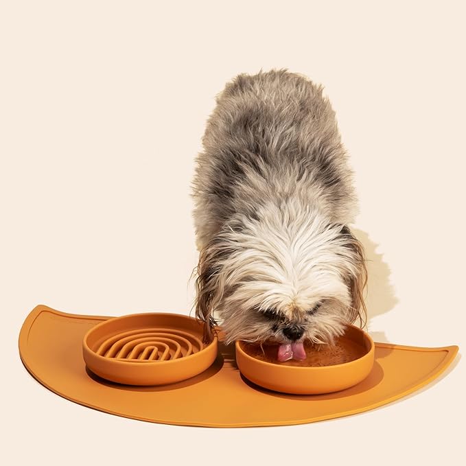 The Slowdown Bowl Silicone Slow Feeder for Cats & Dogs, Slow Eating Mealtime Solution with Modern Lick Mat Design, Reduces Gulping, Fits 1 Cup 6” Across x 1.25” Tall, Small-Ocean