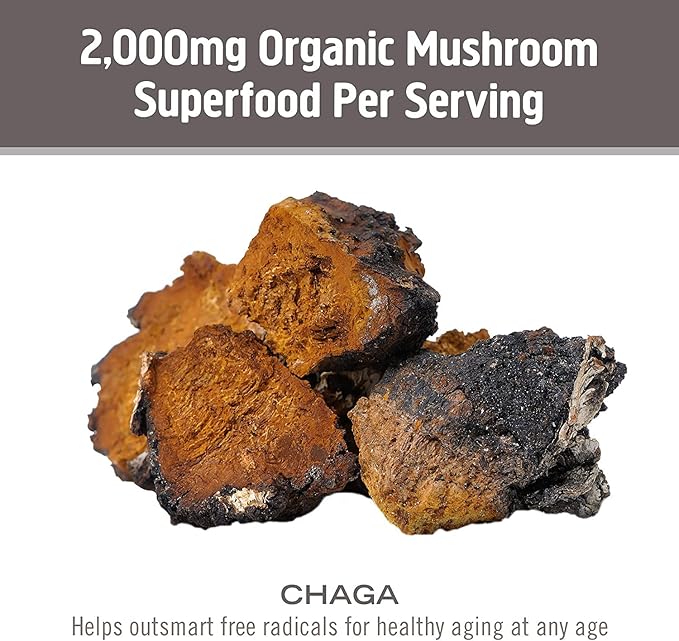OM MUSHROOM SUPERFOOD Chaga Mushroom Capsules Supplement, Sacred Antioxidants & Immune Support, 90 Count, 30 Days