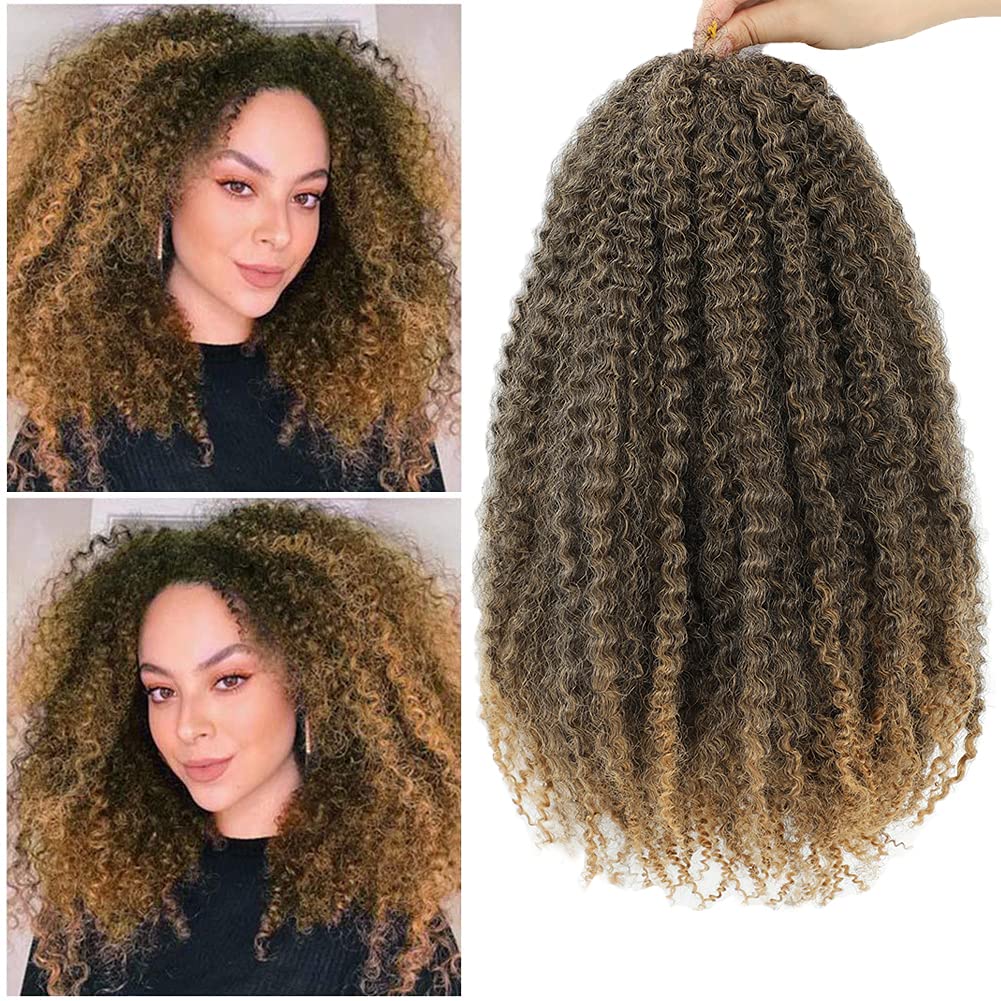 Dansama Marley Twist Braiding Hair, 24 Inch Marley Braiding Hair Twist Hair, Ombre Marley Hair 3 Packs Crochet Twist Curly Hair