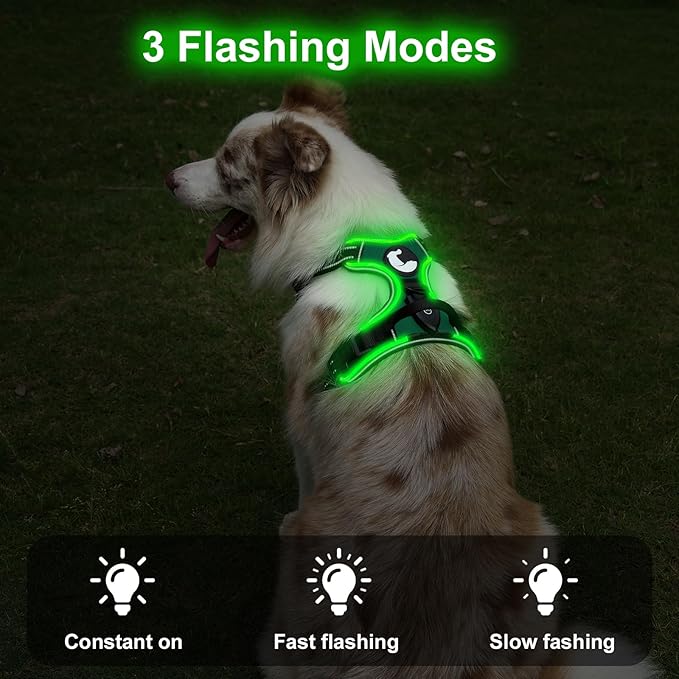 Taglory Light Up Dog Harness, Rechargeable No Pull Dog Vest with 3 Lightning Modes, Reflective Dog Harness with 2 Leash Clips & 4 Adjustable Slide Strips for Large Dogs, Turquoise-Green, XL