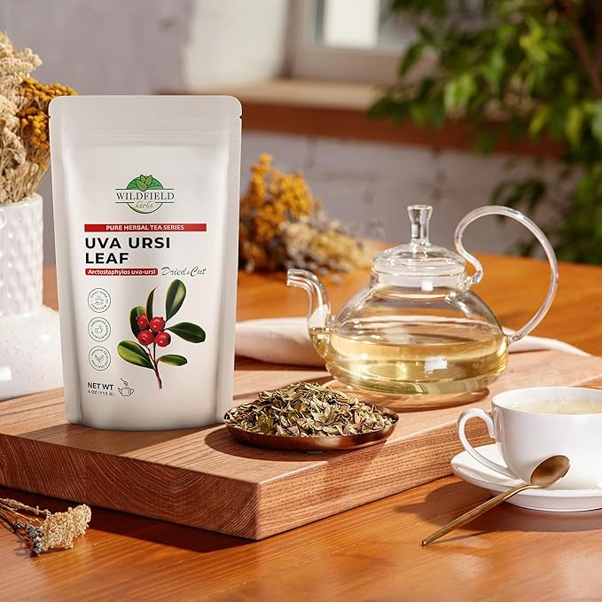 4 oz. Uva Ursi Leaf Uva Ursi Tea Herbal (Arctostaphylos Uva-Ursi) - 113g Uva-Ursi Herb Tea Arctostaphylos Uva-Ursi