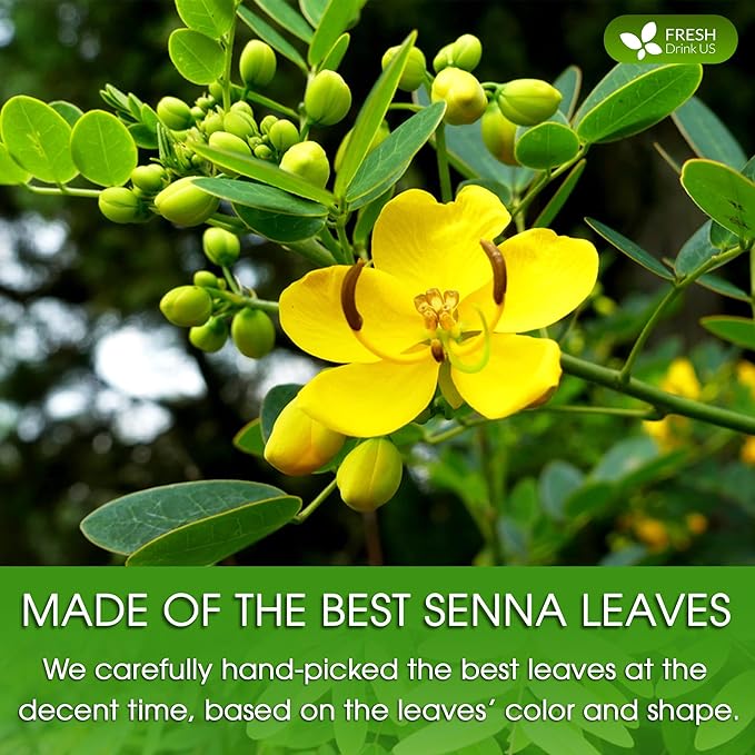 FreshDrinkUS, Premium 10oz Senna Leaf Powder, 100% Natural and Pure from Senna Leaves, No Additives, No Gluten, No Sugar, Vegan (10oz Senna Powder)