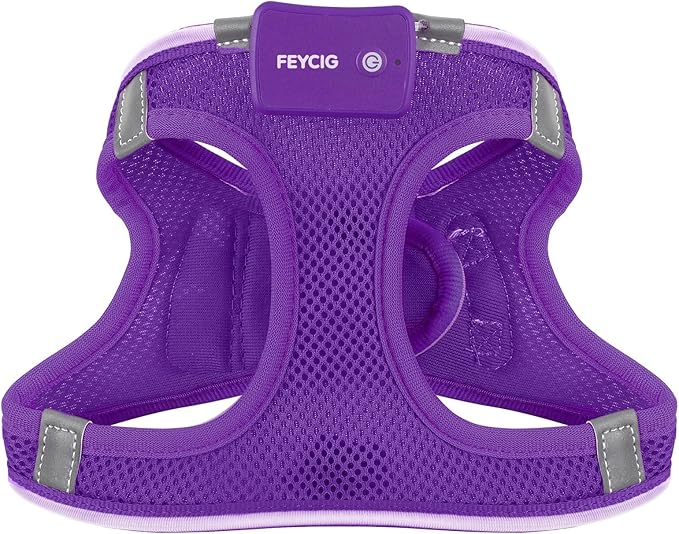 Light Up Dog Harness,Rechargeable LED Dog Harness for Small Medium Large Dogs,Reflective Lighted Safety Vest for Night Walking & Camping,Lightweight & Adjustable,Purple,L