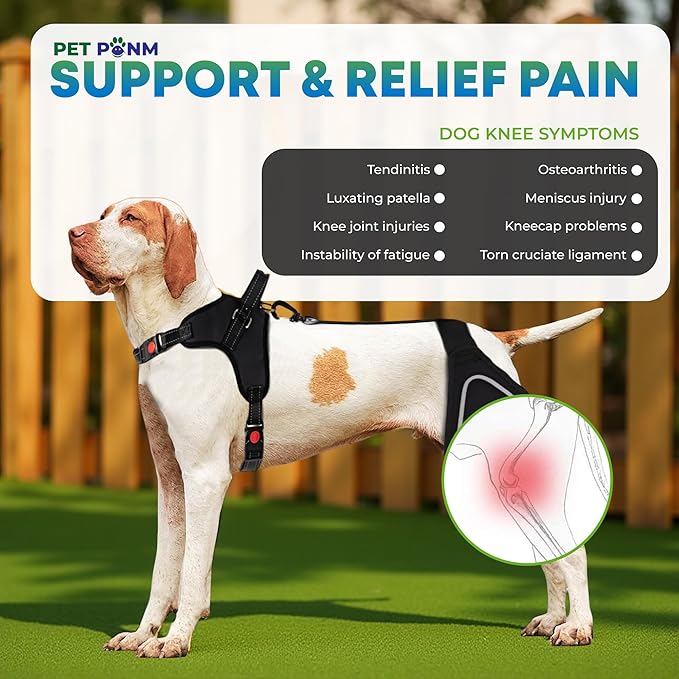 Dog ACL Knee Brace for Back Left Leg - with Integrated Harness - for Cruciate Ligament Injuries, Patellar Luxation, Post-Surgery Recovery. Durable, Breathable Material, Eases Pain - (Medium)